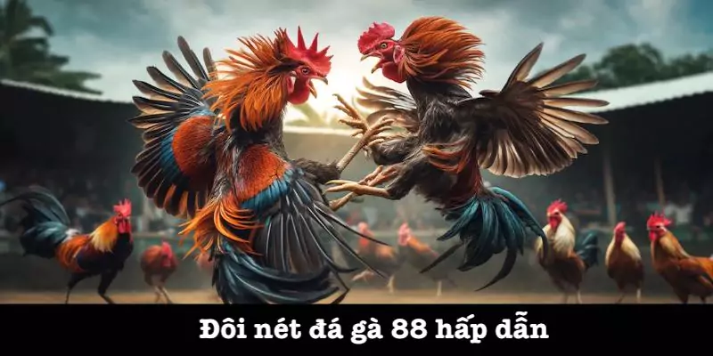 Thông tin chung đá gà 88