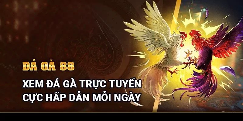 đá gà 88