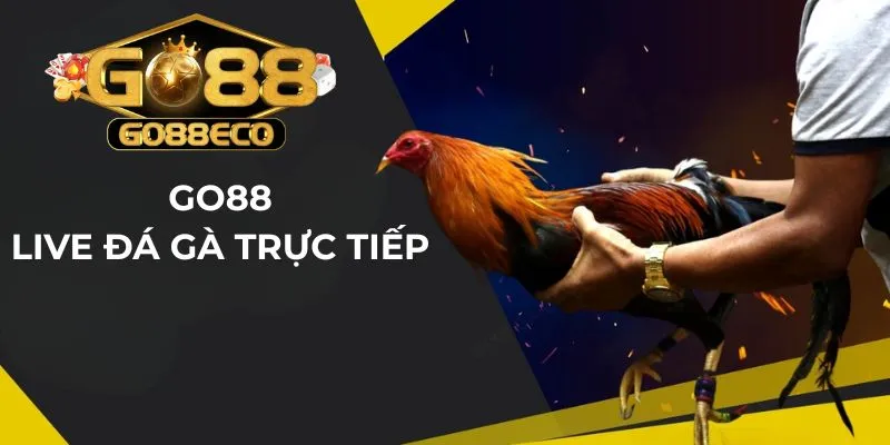 live đá gà trực tiếp