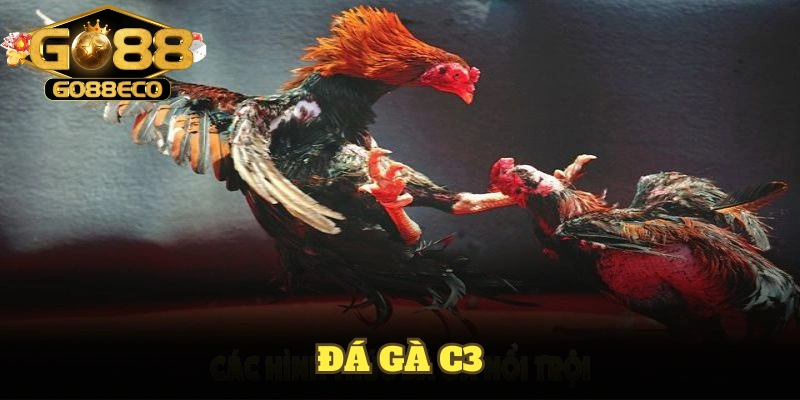 Đá gà c3 go88