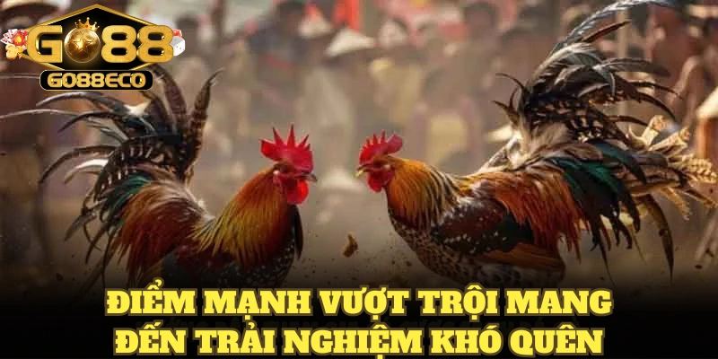 Go88 - Điểm mạnh vượt trội mang đến trải nghiệm khó quên
