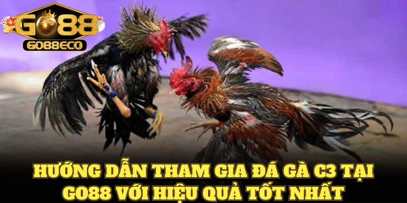Hướng dẫn tham gia đá gà C3 tại Go88 với hiệu quả tốt nhất
