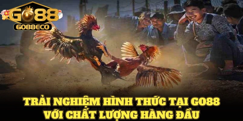 Trải nghiệm hình thức tại Go88 với chất lượng hàng đầu